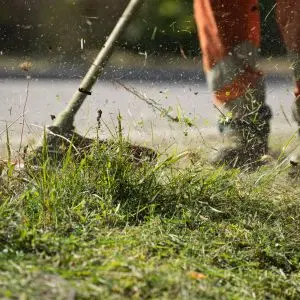 Professional land and section clearing removing overgrown green waste and brush from a property boundary line on Waiheke Island.
