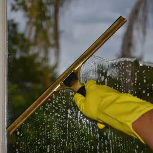 Professional exterior window washing clearing away salt spray and grime for a streak-free finish on a Waiheke Island home.